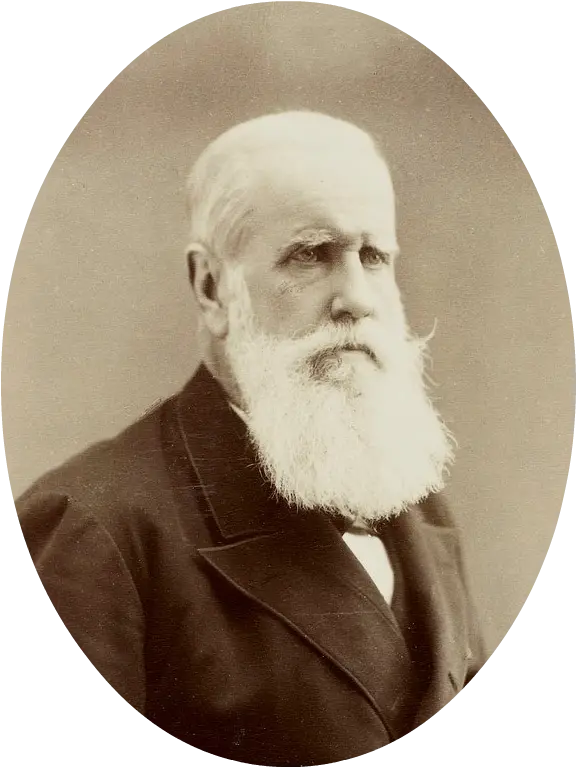 Pedro II